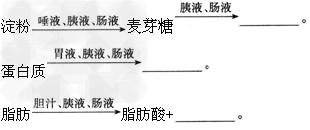 下图中的曲线表示食物通过消化道时,糖类,蛋白质和脂肪被消化过程中