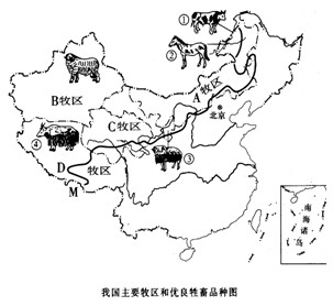 读"我国主要牧区和优良牲畜品种图,回答问题