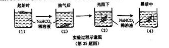 海尔蒙特,普利斯特利,萨克斯等多位科学家用了几百年的时间,经过无数