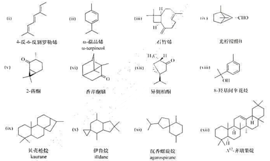 异戊二烯结构简式图片