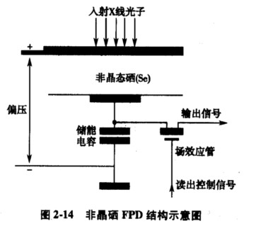 反射层 b荧光层 c支持层 d背衬层 e