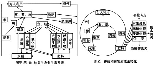 稻萍鱼立体农业原理图片