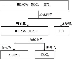 魔方格