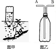 魔方格