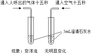 魔方格