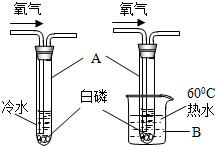 魔方格