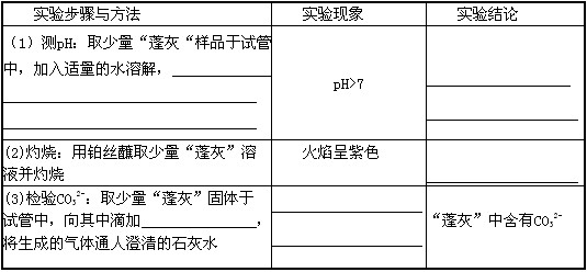 pc客户端 考试大全 违法和不良信息举报 在线客服 牛肉面是兰州的