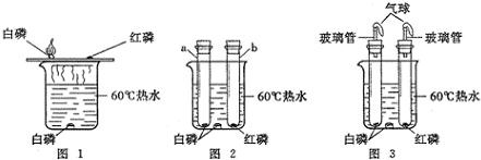 魔方格