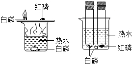 魔方格