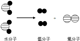魔方格