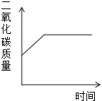 魔方格