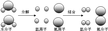 魔方格