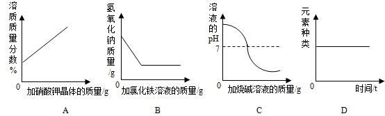 魔方格