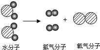 魔方格