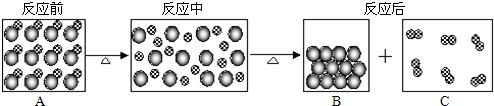 魔方格