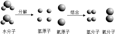 魔方格