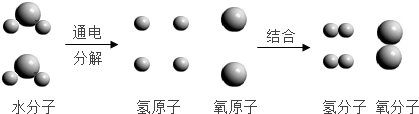 魔方格
