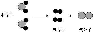 魔方格