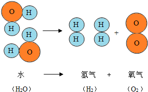 魔方格