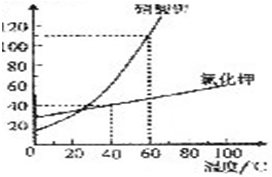 魔方格