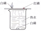魔方格