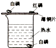 魔方格