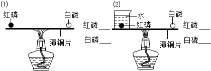 魔方格
