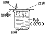 魔方格