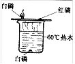 魔方格