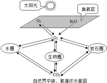 魔方格