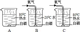 魔方格