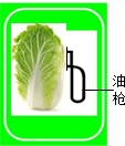 魔方格
