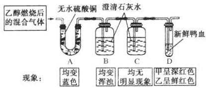 魔方格