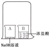 魔方格