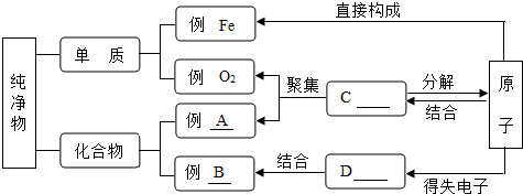 魔方格