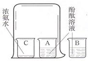 魔方格