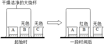 魔方格