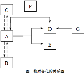 魔方格