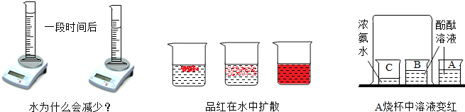 魔方格