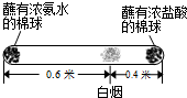 魔方格