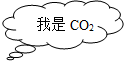 魔方格