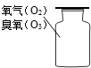 魔方格