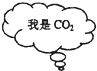 魔方格
