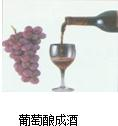 魔方格
