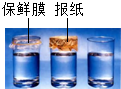 魔方格