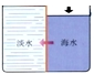 魔方格