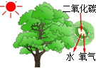 魔方格