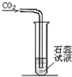 魔方格