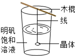 魔方格
