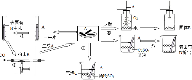 魔方格